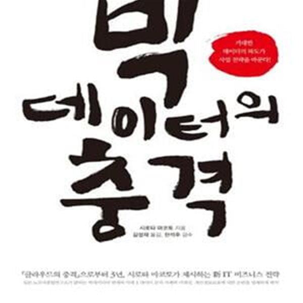 빅데이터의 충격 (거대한 데이터의 파도가 사업 전략을 바꾼다!) 측면밑부분에 이름표기 있습니다