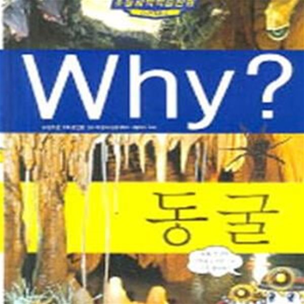 Why? 동굴