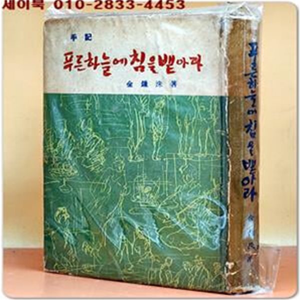 푸른 하늘에 침을 뱉아라 -김종수 手記-  