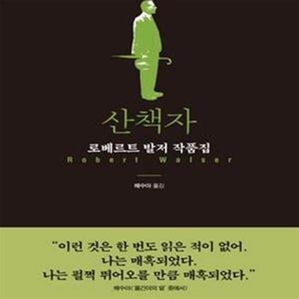 산책자 / 로베르트 발저 작품집