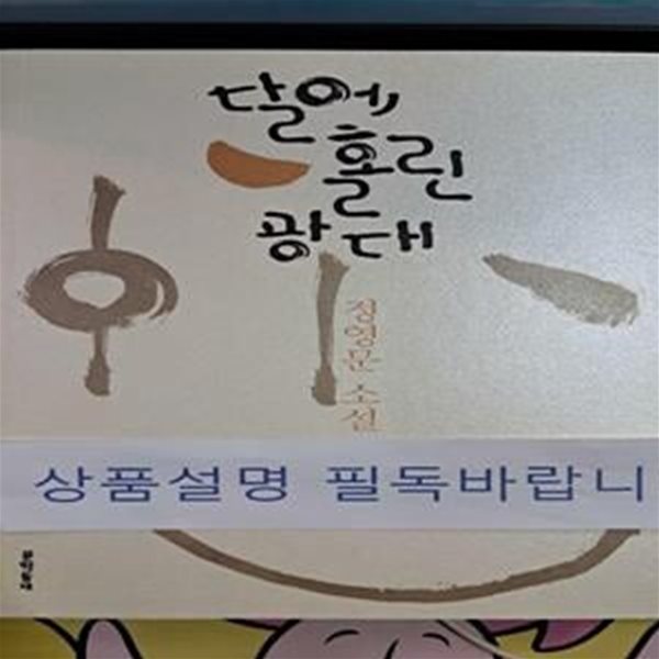 달에 홀린 광대 (정영문 소설)