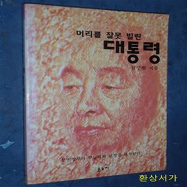 머리를 잘못 빌린 대통령 - 문민정부의 무능력과 실정