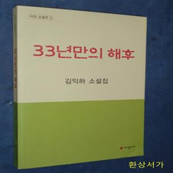 33년만의 해후 (김익하 소설집)