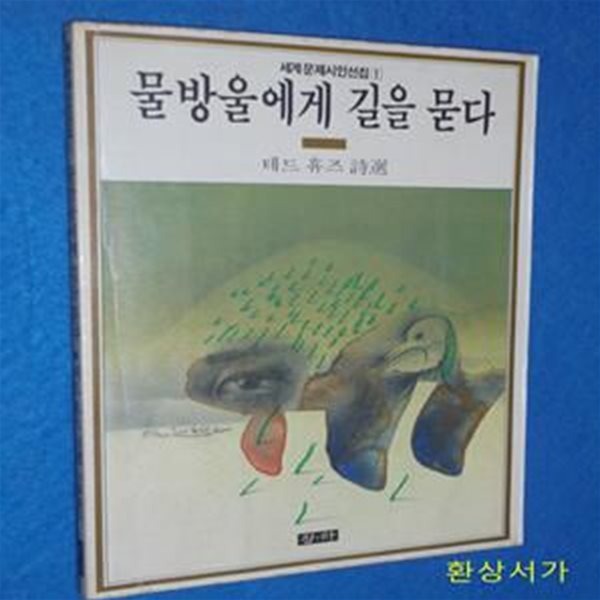 물방울에게 길을 묻다 - 테드 휴즈 (세계문제시인선집 1)