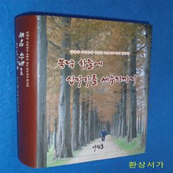 북녘 하늘에 십자가를 세우기까지 - 압록강 두만강의 겨울을 녹인 전도자의 발자취