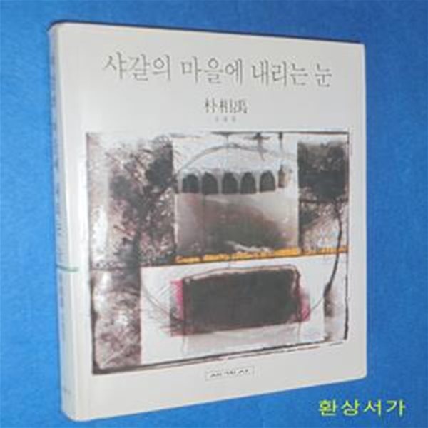 샤갈의 마을에 내리는 눈 - 박상우