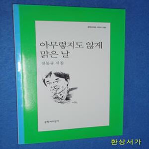 아무렇지도 않게 맑은 날 - 진동규