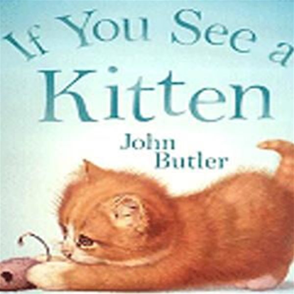 If You See a Kitten (페이퍼백) (아기 고양이를 만나면)