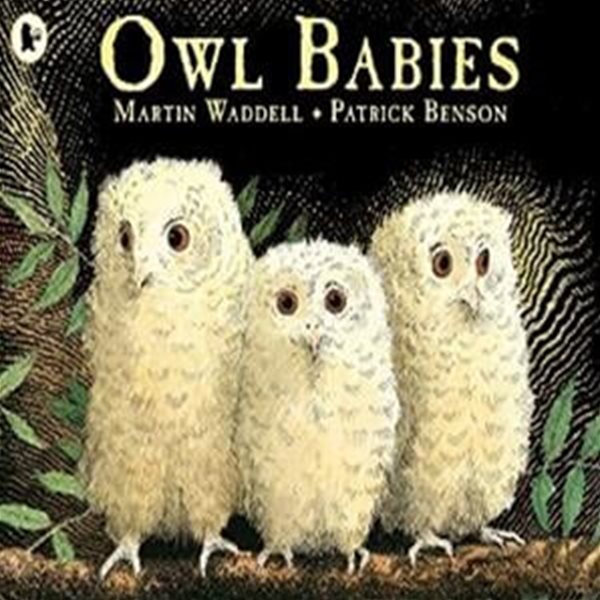 Owl Babies