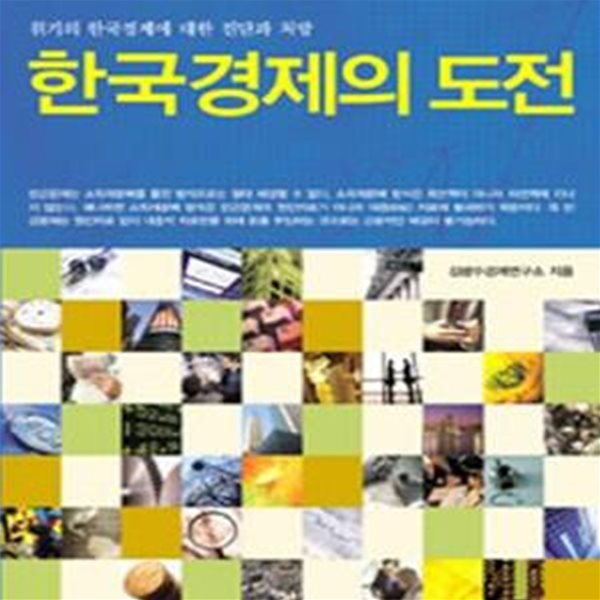 한국경제의 도전 (위기의 한국경제에 대한 진단과 처방)