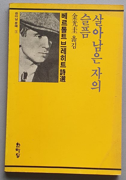 살아남은자의 슬픔 (브레히트 시선/1987.중판)