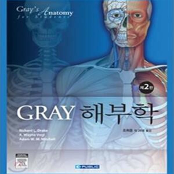 GRAY 해부학