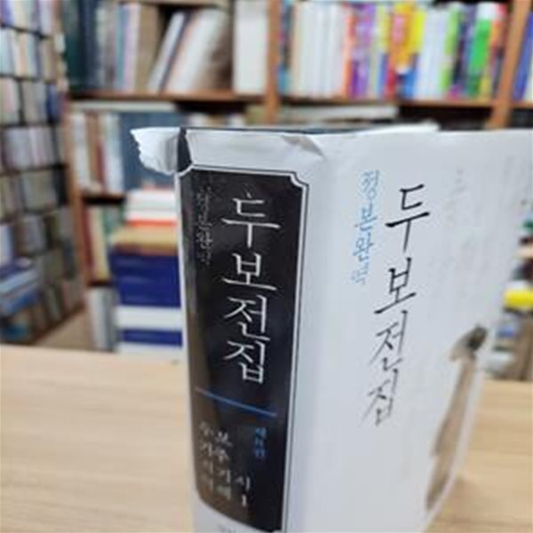 정본완역 두보전집 8 : 두보 기주시기시 역해 1 