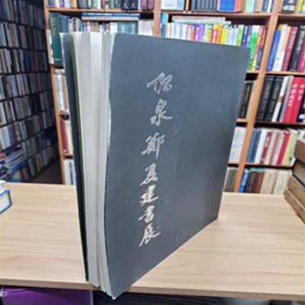 松泉鄭夏建書集 송천정하건서집 (2004 초판)