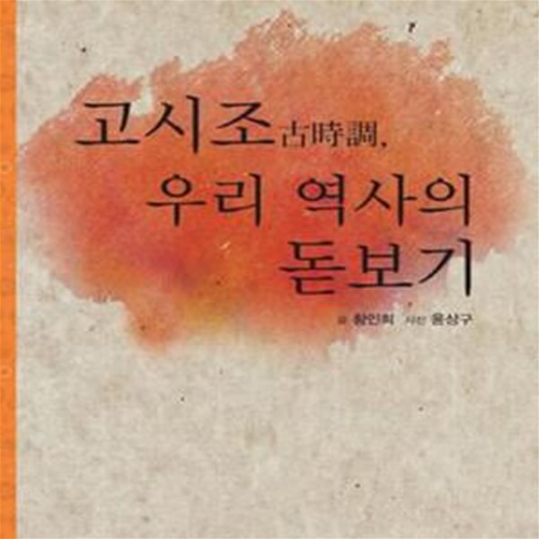 고시조, 우리 역사의 돋보기