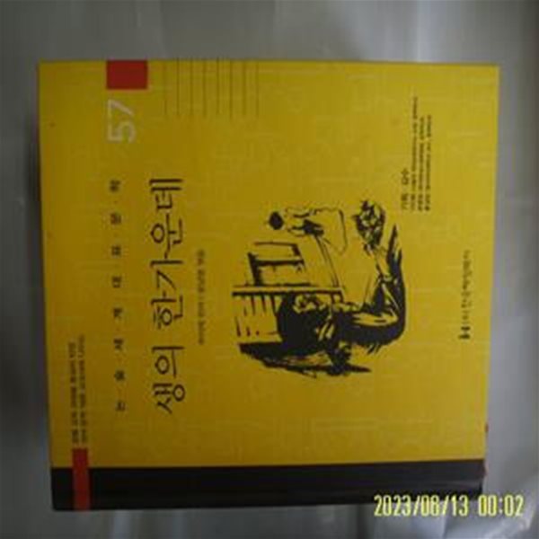 루이제 린저. 윤남영 엮음 / 한국헤밍웨이 / 57 생의 한가운데 ( 논술세계대표문학 ) -꼭 상세란참조
