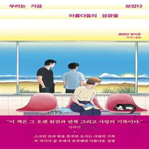 우리는 가끔 아름다움의 섬광을 보았다