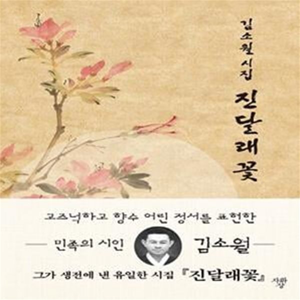 김소월 시집 진달래꽃(미니북) (김소월 시집)