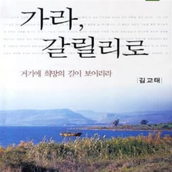 가라, 갈릴리로 (거기에 희망의 길이 보이리라)