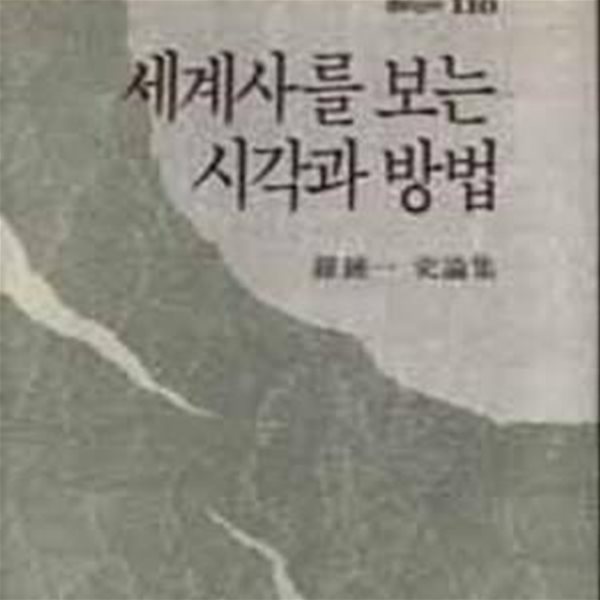 세계사를 보는 시각과 방법 (창비신서 110)