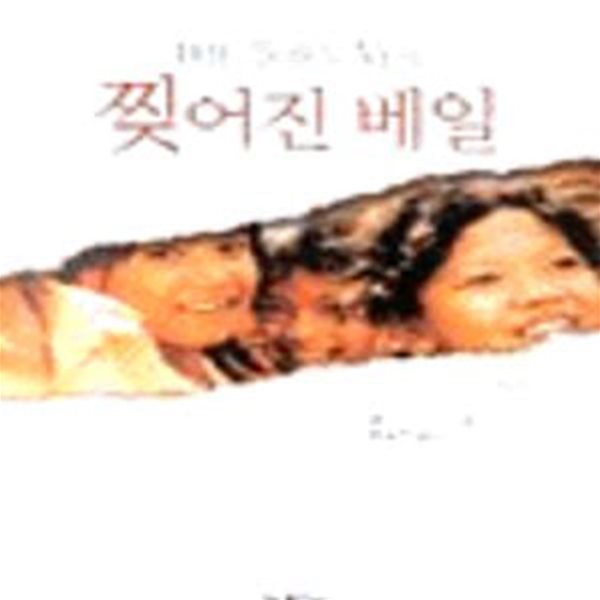 찢어진 베일 (이슬람 선교의 필독서)