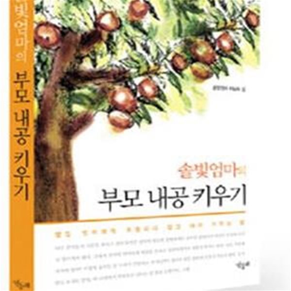 솔빛 엄마의 부모 내공 키우기 (옆집 엄마에게 휘둘리지 않고 아이 키우는 법)