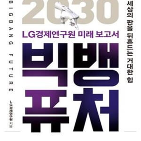 빅뱅 퓨처 (2030 LG경제연구원 미래 보고서)