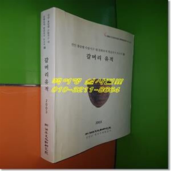 갈머리 유적 - 진안 용담댐 수몰지구 내 문화유적발굴조사 보고서Ⅷ(호남문화재연구원 학술조사보고 제13책)