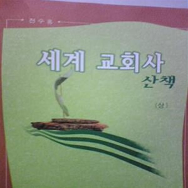 세계 교회사 산책 (상)      /(전수홍/성바오로/하단참조)