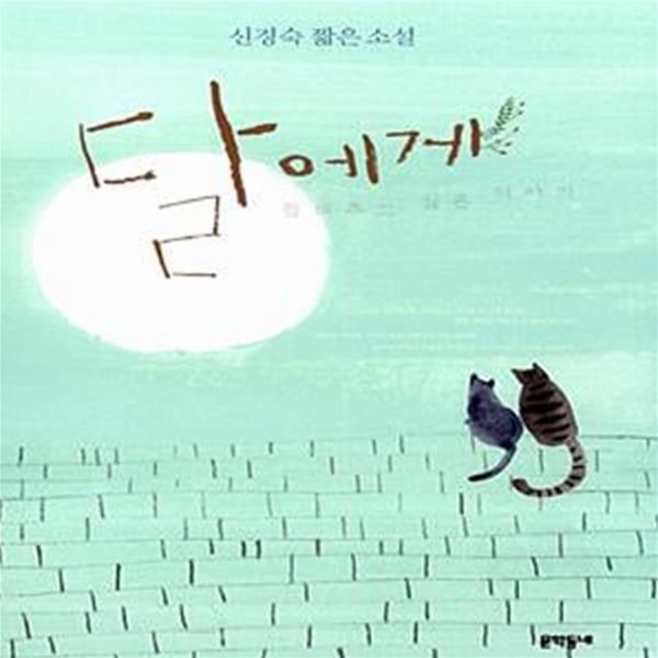 달에게 들려주고 싶은 이야기 - 신경숙 짧은 소설