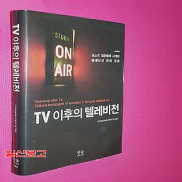 TV 이후의 텔레비전 (포스트 대중매체 시대의 텔레비전 문화 정경)