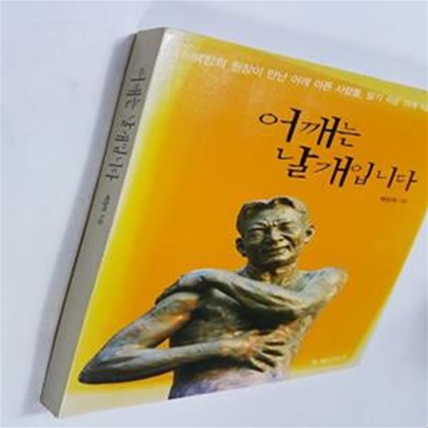 어깨는 날개입니다 (백창희 원장이 만난 어깨 아픈 사람들, 알기 쉬운 어깨 치료 이야기)