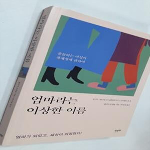 엄마라는 이상한 이름 (충돌하는 여성의 정체성에 관하여)     /(멜리사 호겐붐)