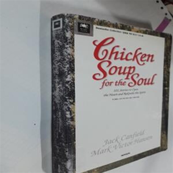 Chicken Soup for the Soul 2