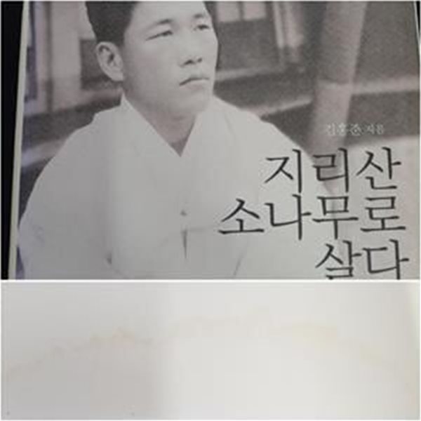 지리산 소나무로 살다 (1948년 지리산, 구례, 빨치산, 청년단장, 그 아프고 치열했던 시대의 기록)