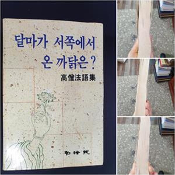 달마가 서쪽에서 온 까닭은? 