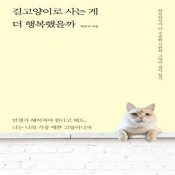 길고양이로 사는 게 더 행복했을까 (하루하루가 더 소중한 시한부 고양이 집사 일기)