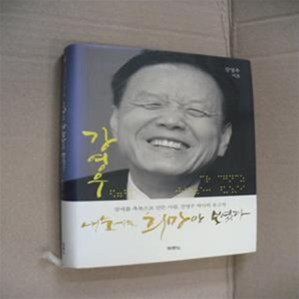 내 눈에는 희망만 보였다 (장애를 축복으로 만든 사람 강영우 박사 유고작)