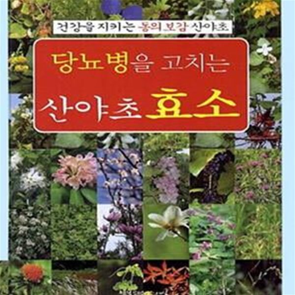 당뇨병에 좋은 발효액 산야초 효소 (건강을 지키는 동의보감 산야초)