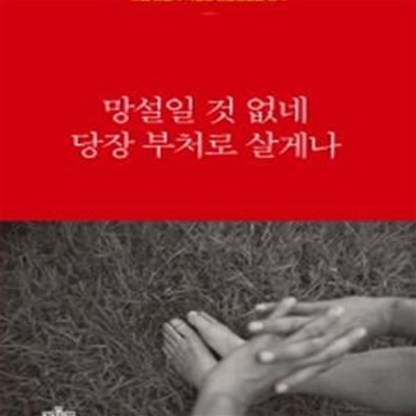 망설일 것 없네 당장 부처로 살게나 (도법 스님의 화엄경 보현행원품 강의)