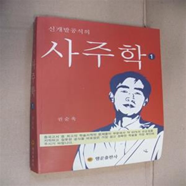 신개발공식의 사주학 1