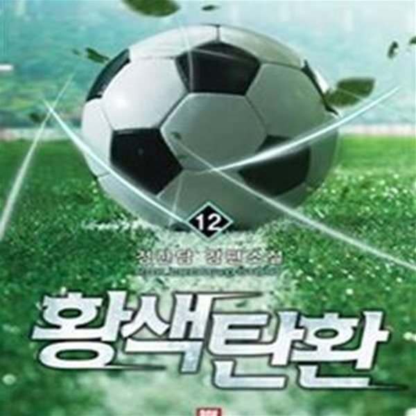 황색탄환 1-12완결 (정한담 장편소설)