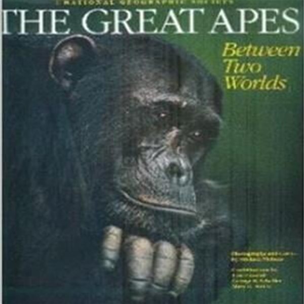 great apes between two worlds  [내셔널 지오그래픽 / 영어원서]