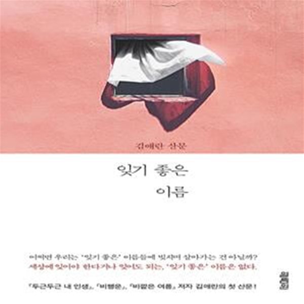 잊기 좋은 이름 (김애란 산문)