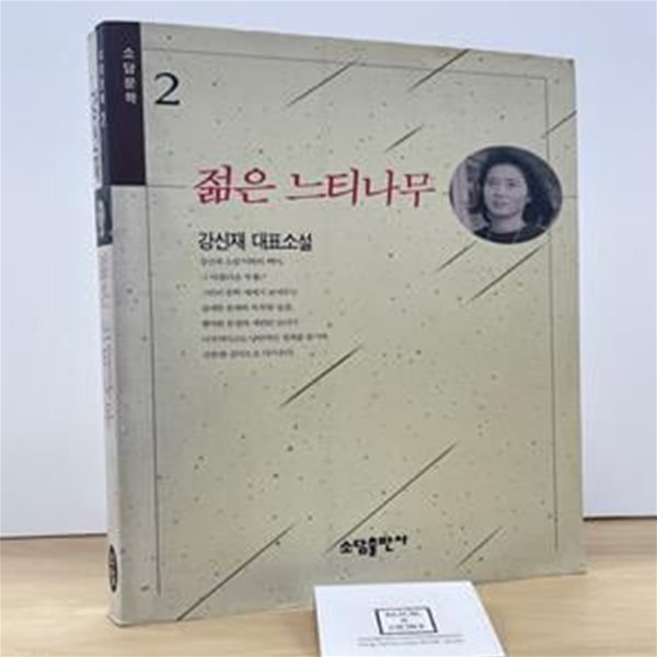 젊은 느티나무 / 소담 / 강신재 / 1994년 6월 초판 / 상태 : 중 (설명과 사진 참고)