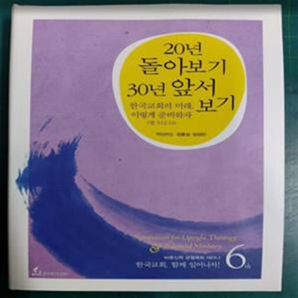 20년 돌아보기 30년 앞서보기 (한국교회, 함께 일어나자! 6th) - 바른신학 균형목회 세미나 / 장흥길 임성빈 책임편집 / 한지터