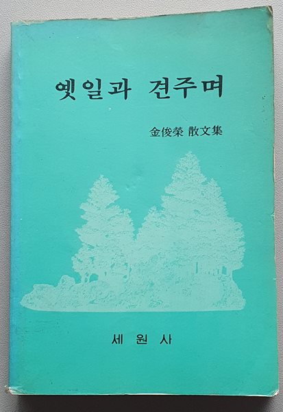 옛일과 견주며 (김준영 산문집)