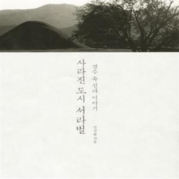 사라진 도시 서라벌 (경주 속 신라 이야기)