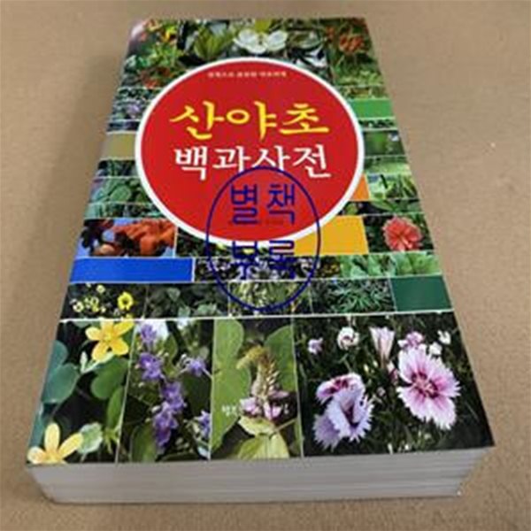 산야초 백과사전 