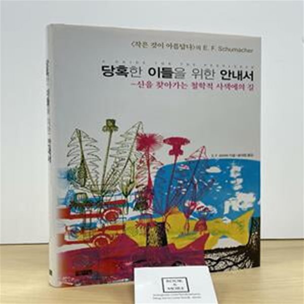 당혹한 이들을 위한 안내서 (신을 찾아가는 철학적 사색에의 길)